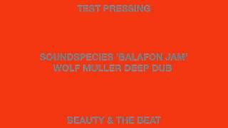 Download Lagu Soundspecies 'Balafon Jam Wolf Muller Deep Dub' Beauty \u0026 The Beat MP3
