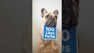 un perro buldog frances pidiendo 100 likes