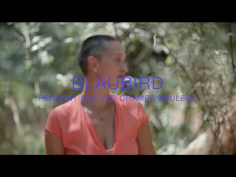 BlauBird ★ PENDANT QUE LES CHAMPS BRÛLENT ★ (reprise Niagara)