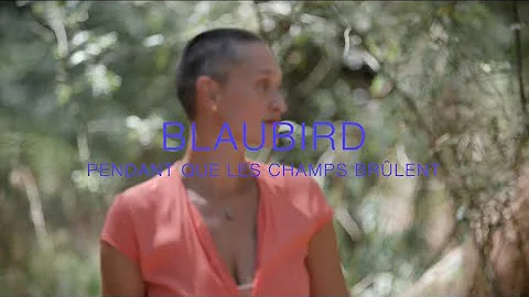 BlauBird // Pendant que les champs brlent (reprise...