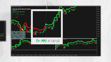 Best Momentum Indicator | To enter the market at the right time