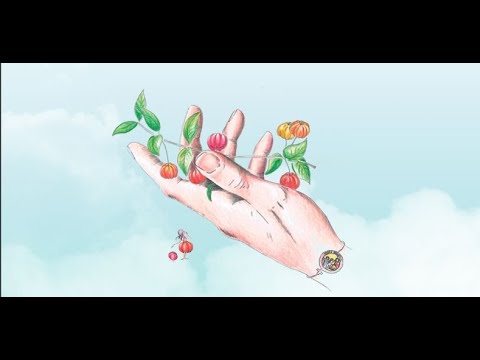 Documentário "Associação Pitanga Rosa"