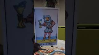 🚨 Age Difference Family Doesn't Approve🙄Oh Well😂 Proposal Coming🥰 Details