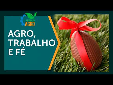 PILULA 5AGRO WORK FAITH