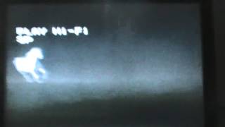 Opening to Hook UK VHS (1992)