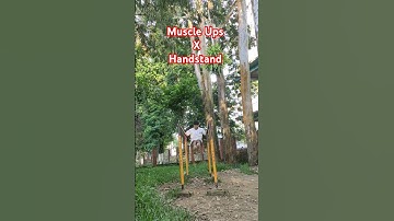 Parallel Bars  #shorts #parallelbars #handstand