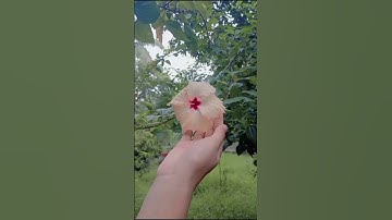 Exam Day Mini Vlog #shorts