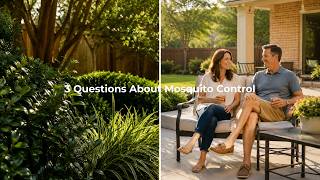 3 Questions Every North Texas Homeowner Asks About Mosquito Control
