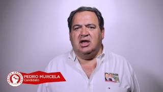 O número 2 por Portalegre, Pedro Murcela, explica como o PS pretende promover o emprego