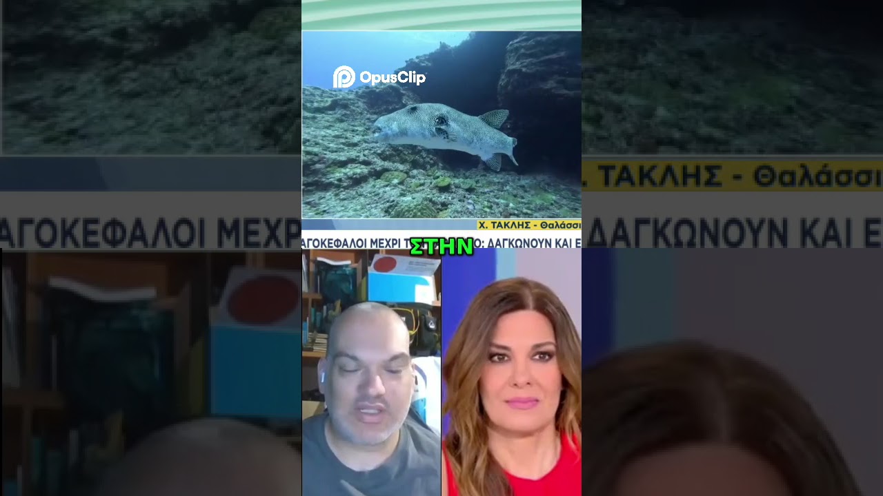 Λαγοκέφαλοι στην Ελλάδα  Είδη, Συμπεριφορά & Κίνδυνοι