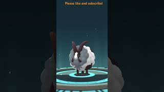 First evolved Dubwool and Max Pokémon!