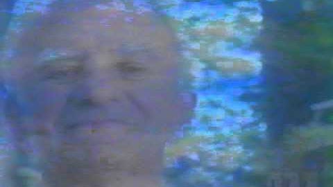 Richard Hull and Peter Graneau on water as a power source