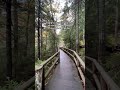 Nature Trip Instagram Reel in UIUX Style #sunrisemagic #travelvlog #nature #travelvlog #instagram