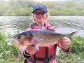 Amys twait shad fishing tips 2021