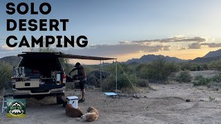 SILENT SOLO CAMPING with my Dogs in the AZ Desert