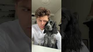 Me and Olive the Blue Roan Cocker Spaniel.