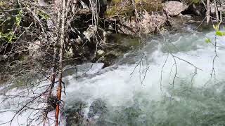 Bitterroot Valley Creek May 2026