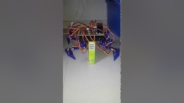 Hexapod