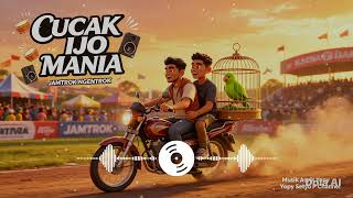 Download Lagu Cucak Ijo Juara! Full Bass DJ Remix Jawa Horeg 🏆🐦 Download Lagu Cucak Ijo Juara! Full Bass DJ Remix Jawa Horeg 🏆🐦