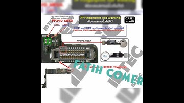 iphone 7 plus Fingerprint not working