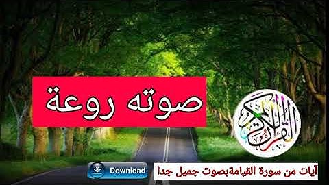 آيات من سورة القيامة _القرآن الكريم بصوت جديد حالات واتساب