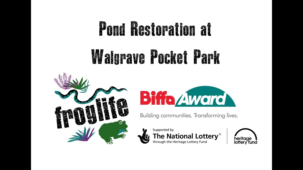 Pond Restoration at Walgrave Pocket Park