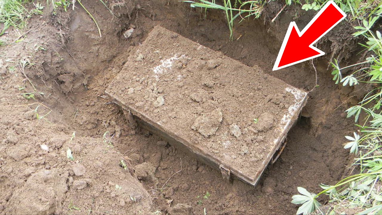 Пёс повёл хозяйку в лес, чтобы показать коробку. Она в ужасе закричала ...