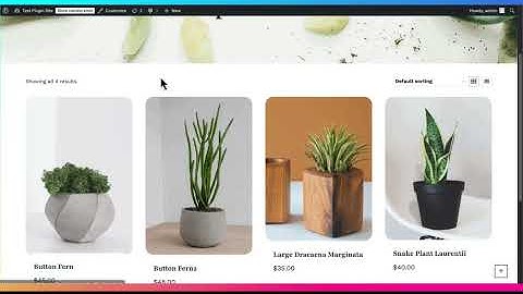 How to Use NotifyWise?– Back In Stock Notifier for WooCommerce Plugin