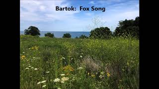 Béla Bartók: Fox Song (Mikrokosmos III, Sz. 107, No. 95)