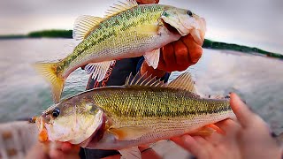 Fishing with Live Bait on Lake Norman for Striped Bass and Spotted Bass