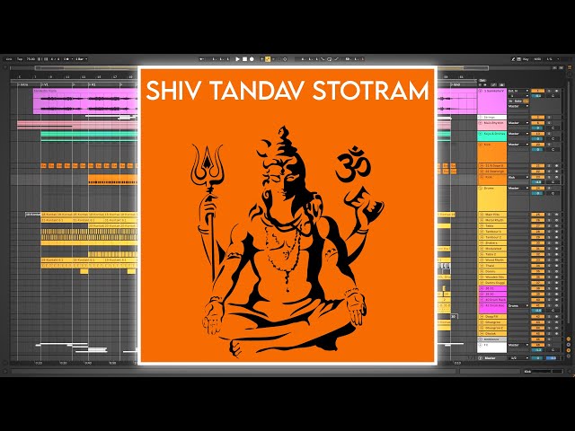 Shiv Tandav Stotram (Instrumental) | @SamikshaTheViolinist  | Dr.Vilest [DGMO Press Conference]