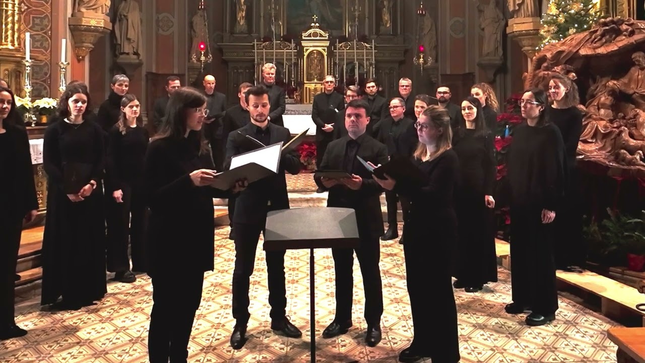 Es wird scho glei dumpa - VOXacord