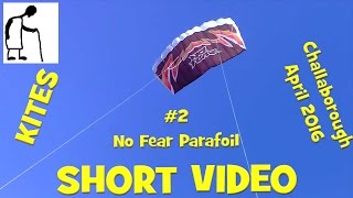 Kites #2 Challaborough April 2016 SHORTER VIDEO