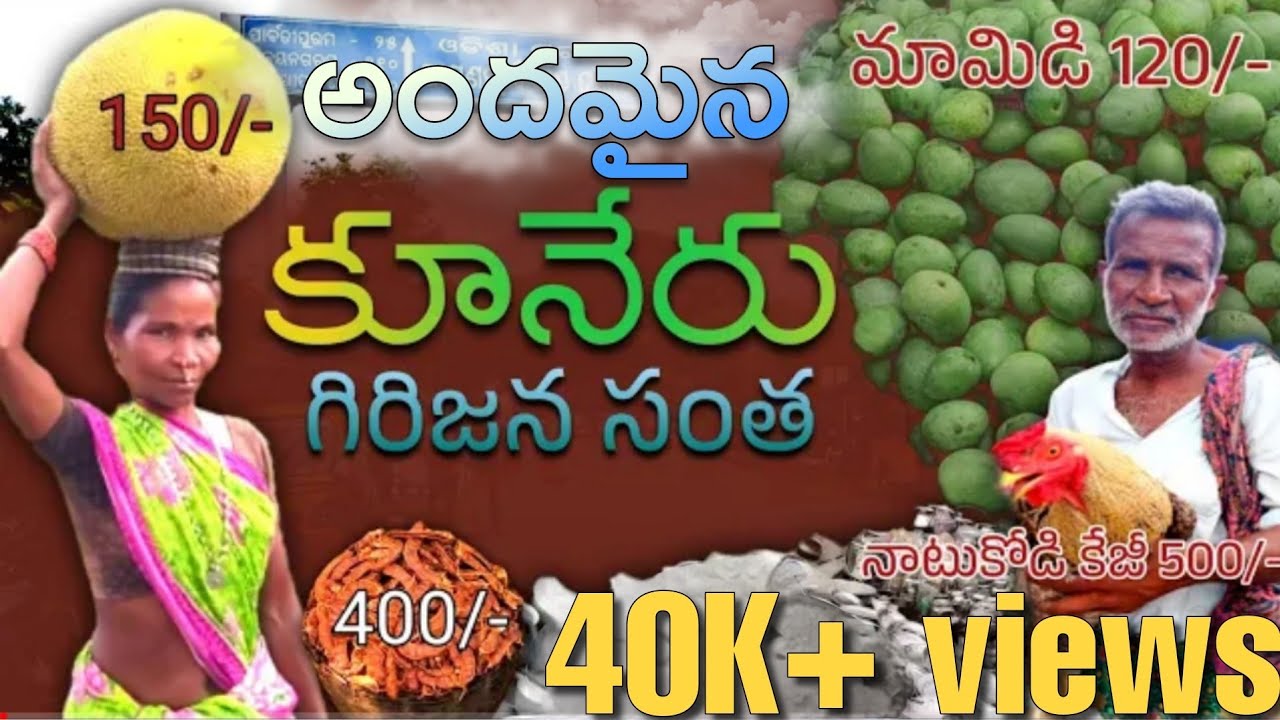 || Big Tribal Market || Kuneru #village  #tribalmarket