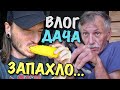 ВЛОГ: ЗАПАХЛО ЖАРЕНЫМ...