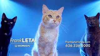 Meow is the Moment – Honda Summer Clearance Event