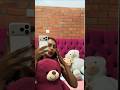 Nyambo Jesca Takes Pictures In IPhone 17pro Max Ytshorts Viral Trending Youtubecoppa