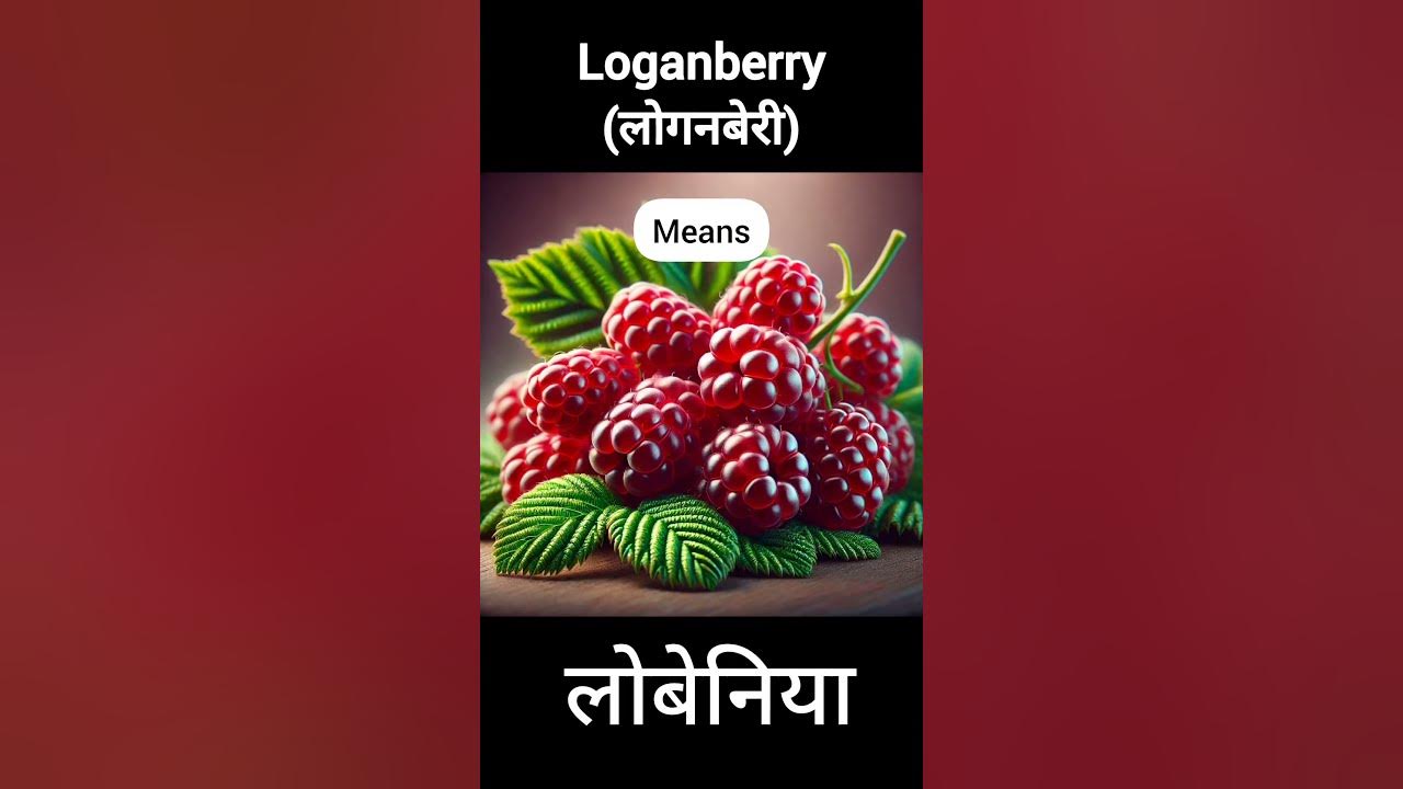 loganberry-hindi-meaning-shorts-youtube