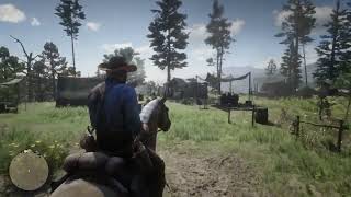 RDR2 - this happened when Arthur Morgan don't sleep for some days