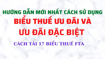 Hướng Dẫn Cách Sử Dụng 17 Biểu Thuế Theo Hiệp Định Thương Mại Tự Do Giai Đoạn 2022 Đến 2027 (2028)