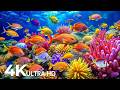 The Best 4K Aquarium - Explore the Underwater World and Beautiful Coral Reef Fish for Deep Sleep #91