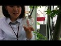 1分間で紹介！ライティング編　その①