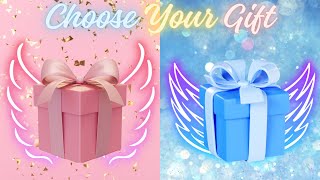 Ultimate Showdown: Blue vs Pink Gift - Which One Will You Choose? !