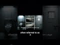 Inside ADX Florence: How Inmates Survive America’s Toughest Prison