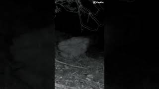 copy 16ED4D56 1080 4199 94CC DBB5CA00B717