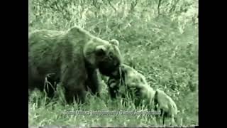 1996 Coldwell Banker Real Estate Commercial