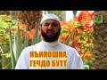 Къиношна гечдо бутт | ШоIип