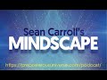 Mindscape 87 | Karl Friston on Brains, Predictions, and Free Energy