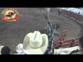 RESUMEN DE JARIPEO EN EL CHANTE (29/11/13)