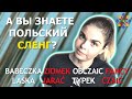 Польский СЛЕНГ | самые популярные слова